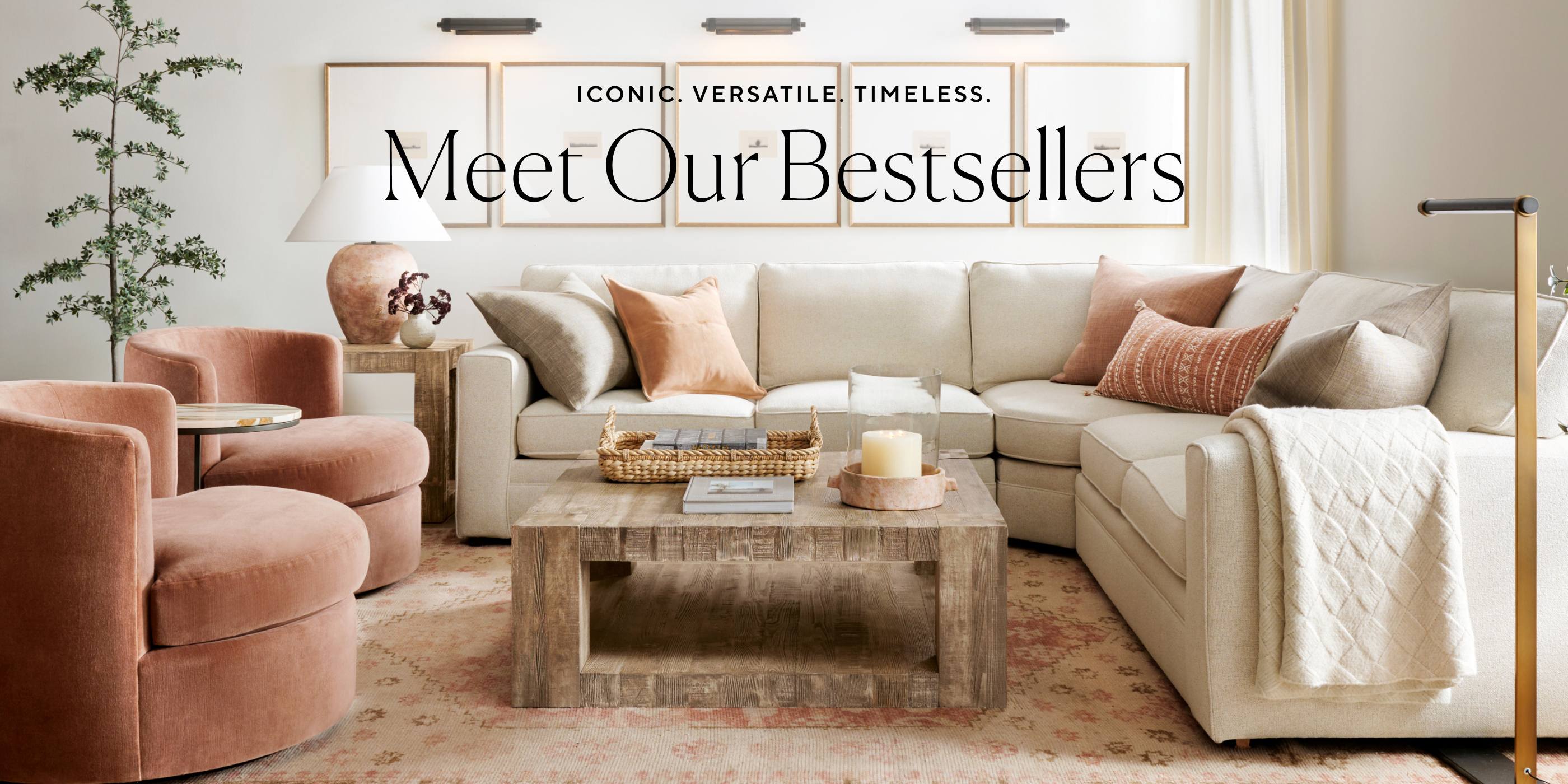 Meet Our Bestsellers